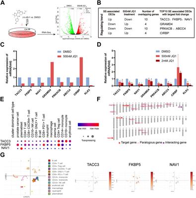 Integrated high-throughput analysis identifies super enhancers in metastatic castration-resistant prostate cancer